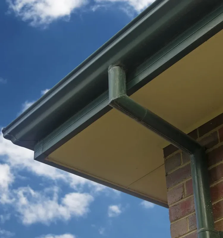 Img limpieza de canalones en viviendas